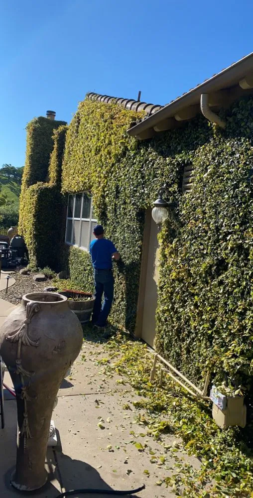 Custom yard cleanup service in Vacaville, CA - Ultimate Lawn Care