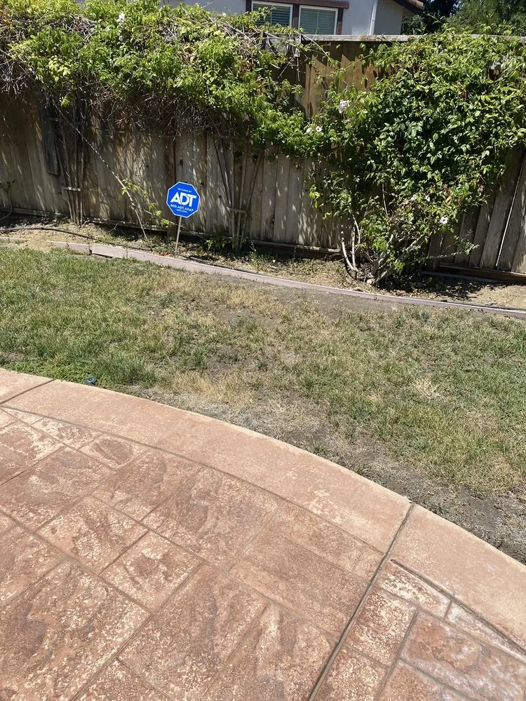 Top-rated yard cleanup service in Vacaville, CA by Ultimate Lawn Care