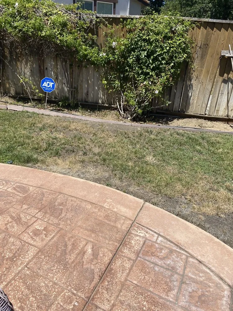 Expert yard maintenance in Vacaville, CA - Ultimate Lawn Care