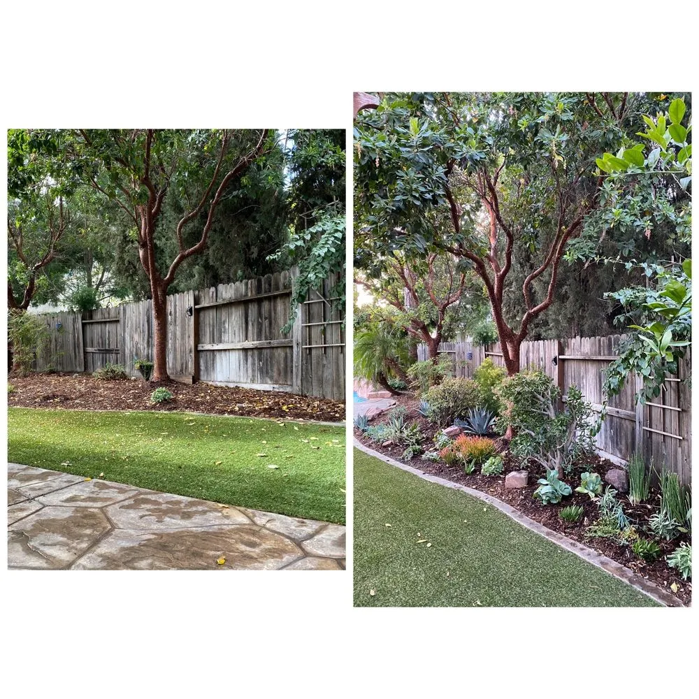 Local yard cleanup service in Vacaville, CA by Ultimate Lawn Care