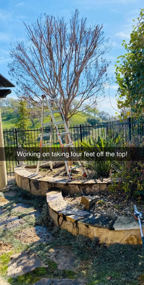 Local outdoor landscaping in Vacaville, CA by Ultimate Lawn Care