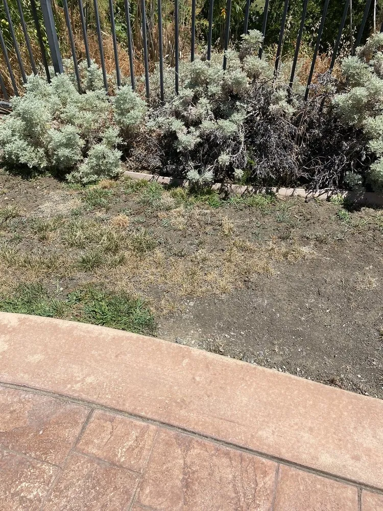 Professional lawn care service in Vacaville, CA by Ultimate Lawn Care