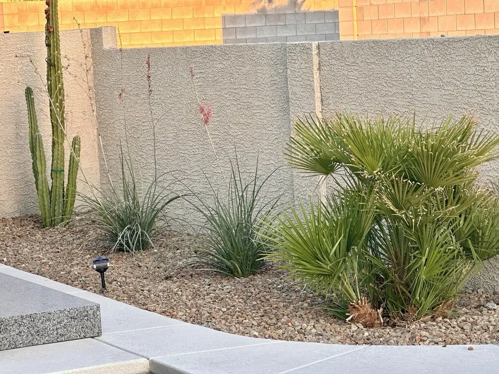 Reliable yard cleanup service experts serving Las Vegas, NV - Ultimate Lawn Maintenance