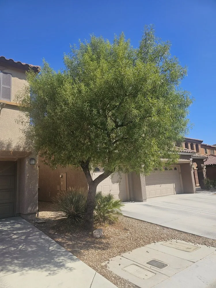 Expert landscape design for beautiful yards in Las Vegas, NV by Ultimate Lawn Maintenance