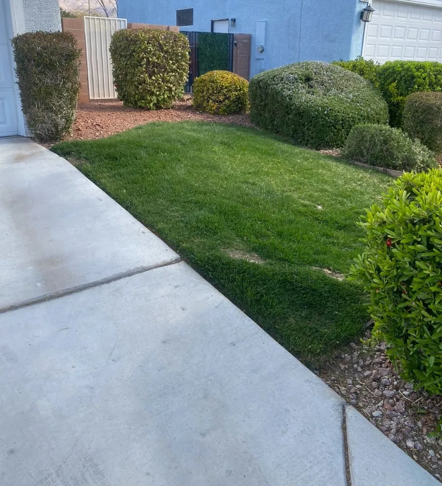 Local outdoor landscaping in Las Vegas, NV by Ultimate Lawn Maintenance