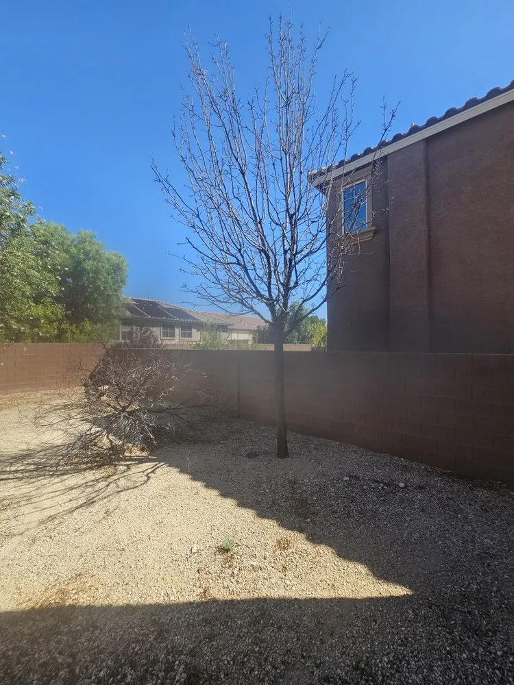 Top-rated yard cleanup service in Las Vegas, NV by Ultimate Lawn Maintenance