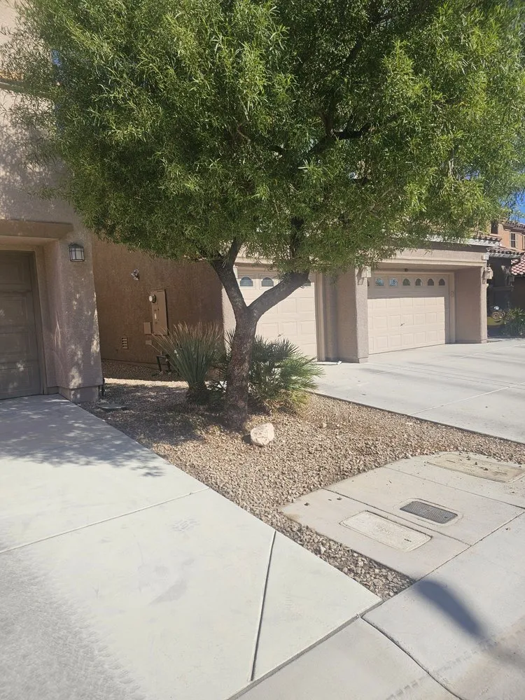 Local landscaping services in Las Vegas, NV by Ultimate Lawn Maintenance
