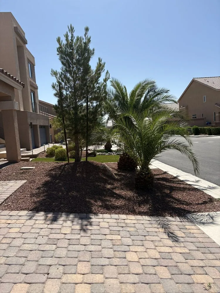 Affordable yard maintenance in Las Vegas, NV by Ultimate Lawn Maintenance