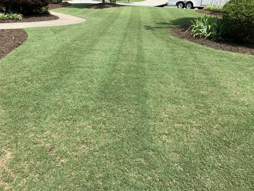 Reliable landscaping services for year-round maintenance in Buford, GA by Ultimate Lawn Services