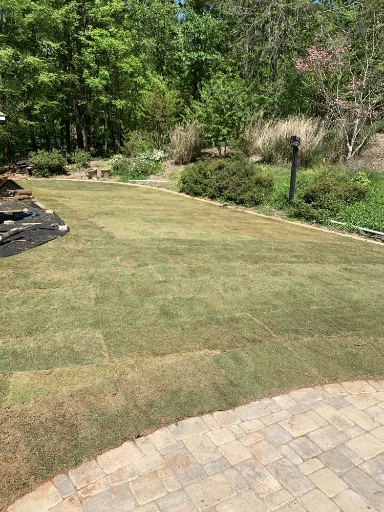 Local yard maintenance for year-round maintenance across Buford, GA - Ultimate Lawn Services