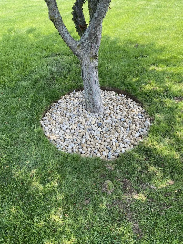 Reliable yard maintenance in Muncie, IN - Ultimate Lawn Services