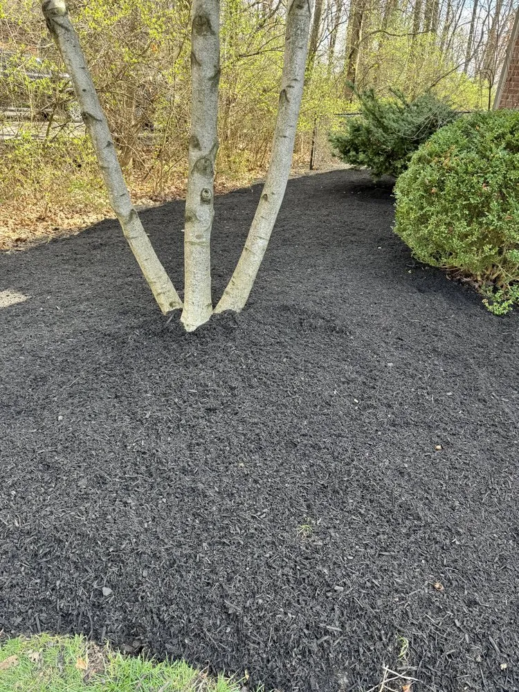 Affordable lawn care service experts serving Muncie, IN - Ultimate Lawn Services