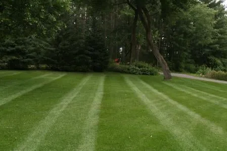 Reliable landscaping services in Chippewa Falls, WI by Ultimate Lawns