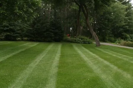 Custom yard cleanup service in Chippewa Falls, WI by Ultimate Lawns