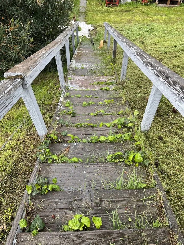 Reliable yard maintenance with custom design across Lodi, CA - Ultimate L&C