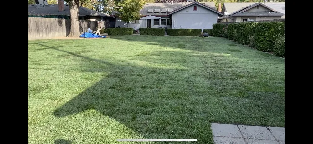 Top-rated residential landscaping experts serving Lodi, CA - Ultimate L&C