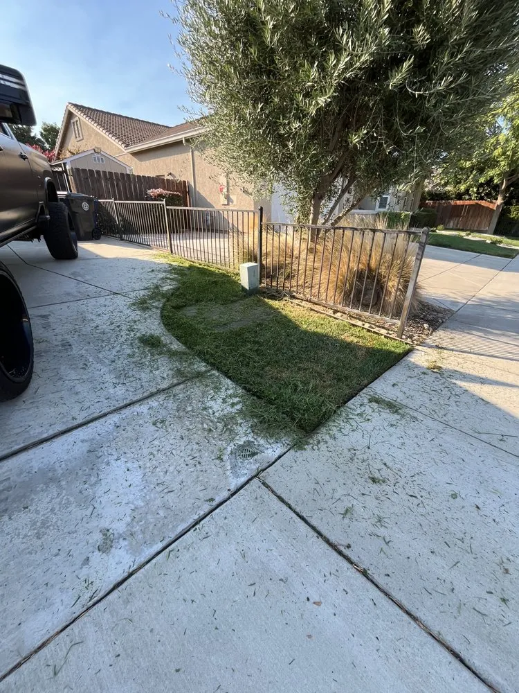 Expert yard cleanup service for residential properties across Lodi, CA - Ultimate L&C