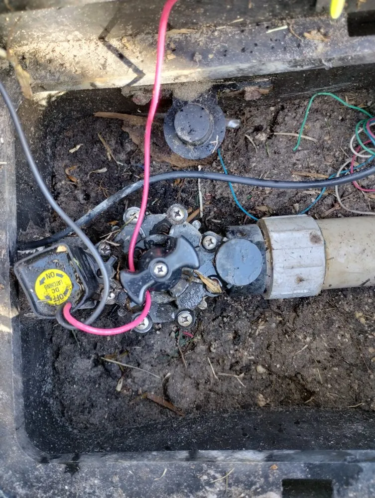 Professional garden landscaping experts serving Daytona Beach, FL - Ultimate Outdoor