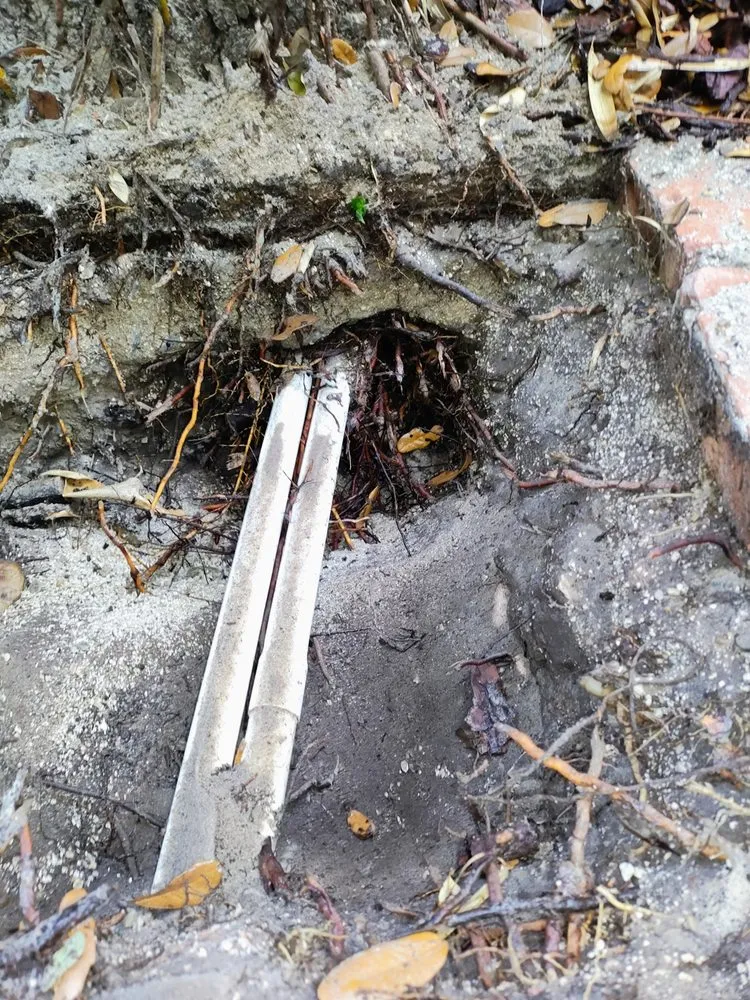 Local yard cleanup service experts serving Daytona Beach, FL - Ultimate Outdoor