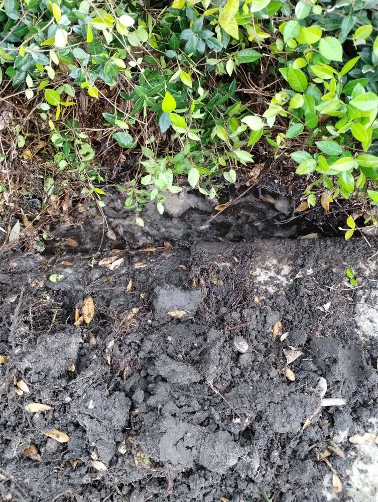 Local landscape installation in Daytona Beach, FL by Ultimate Outdoor