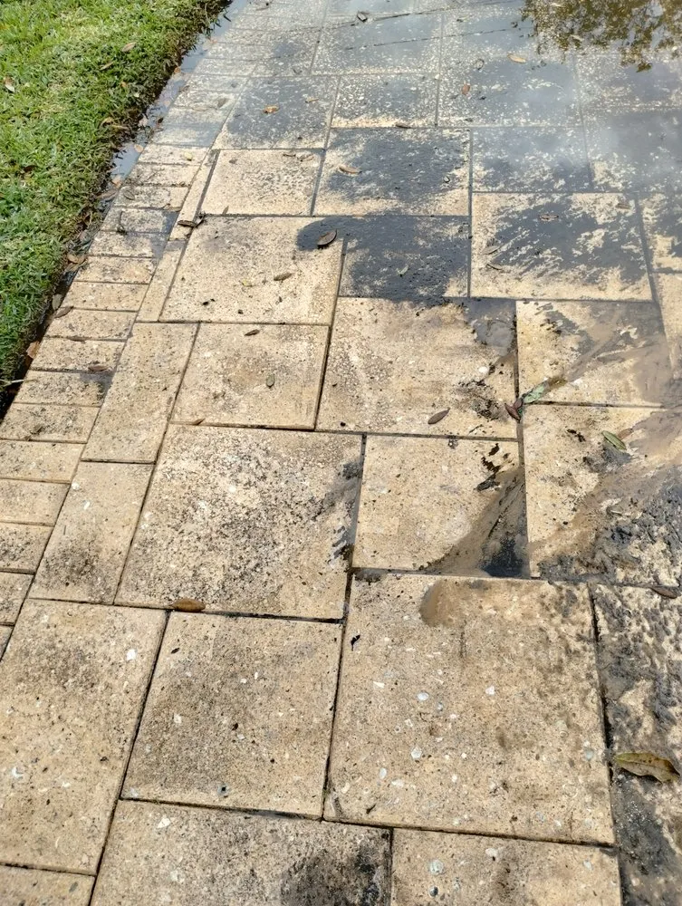 Reliable landscape installation in Daytona Beach, FL by Ultimate Outdoor