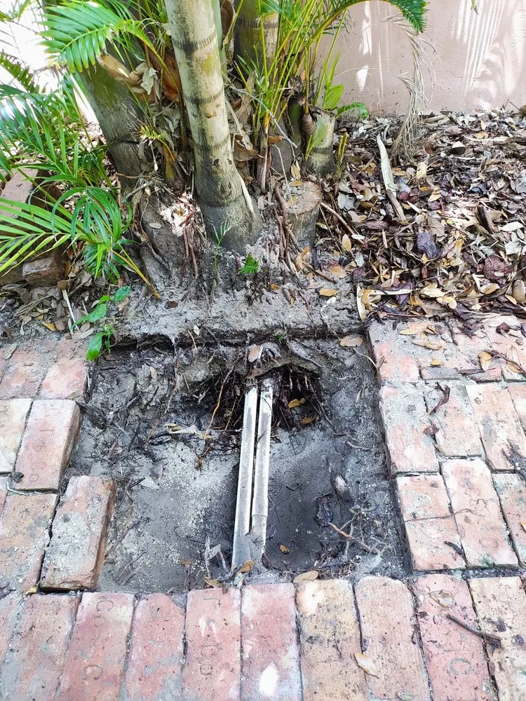 Professional landscape design for year-round maintenance across Daytona Beach, FL - Ultimate Outdoor