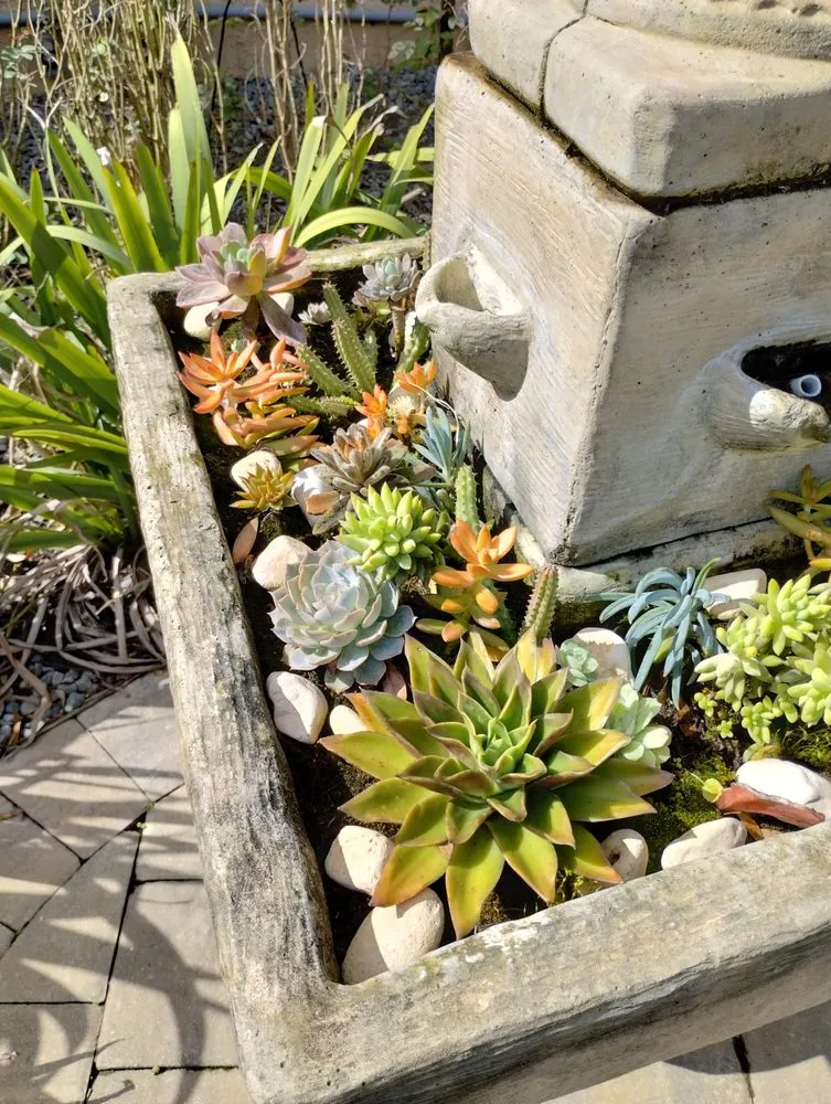 Professional residential landscaping for residential properties in Daytona Beach, FL by Ultimate Outdoor