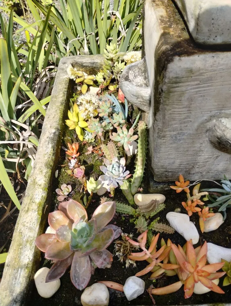 Professional outdoor landscaping experts serving Daytona Beach, FL - Ultimate Outdoor