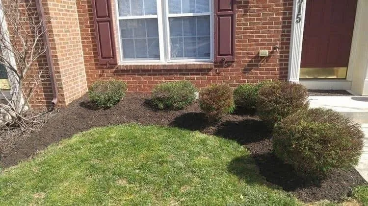 Professional yard cleanup service in Taneytown, MD - Ultimate Outdoor Services