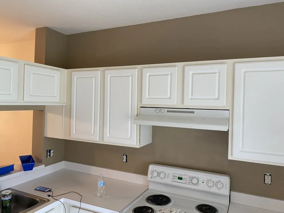 Local landscaping services in Tampa, FL - Ultimate Painting, Maintenance, Landscaping