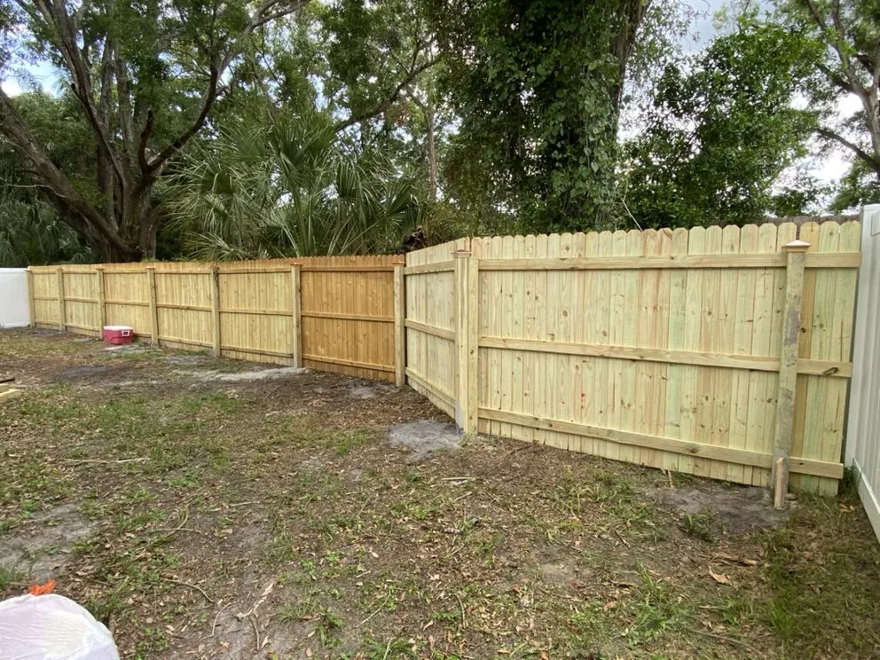 Affordable landscape installation in Tampa, FL by Ultimate Painting, Maintenance, Landscaping