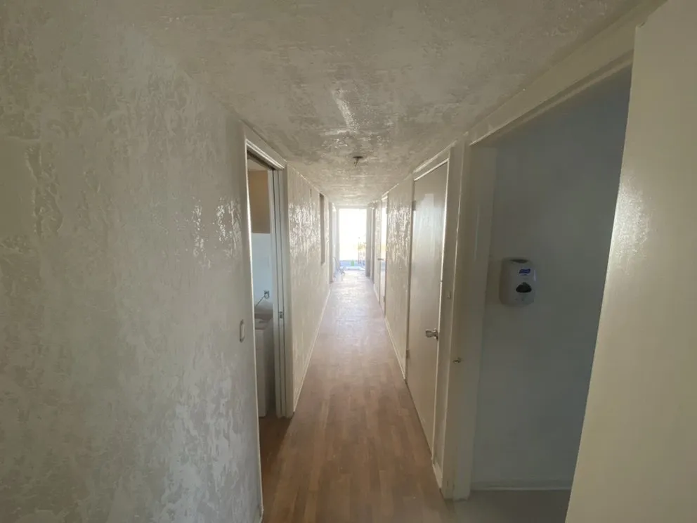 Trusted yard maintenance in Tampa, FL - Ultimate Painting, Maintenance, Landscaping