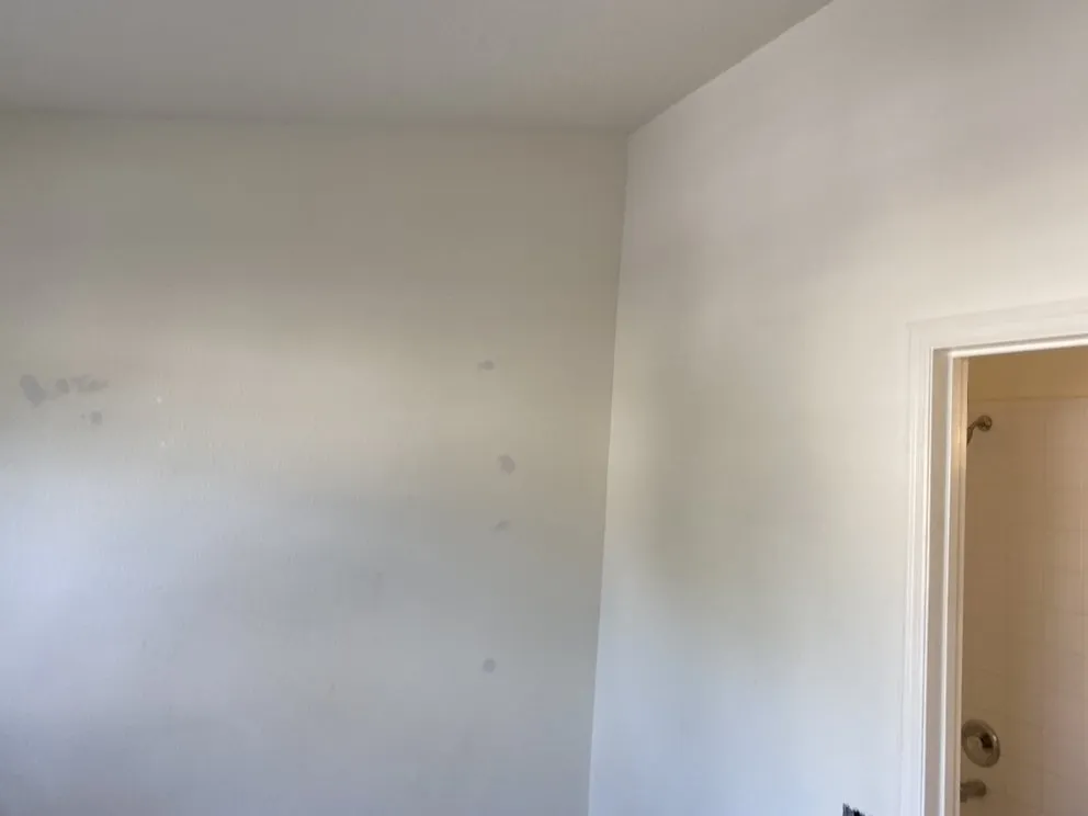 Trusted outdoor landscaping experts serving Tampa, FL - Ultimate Painting, Maintenance, Landscaping