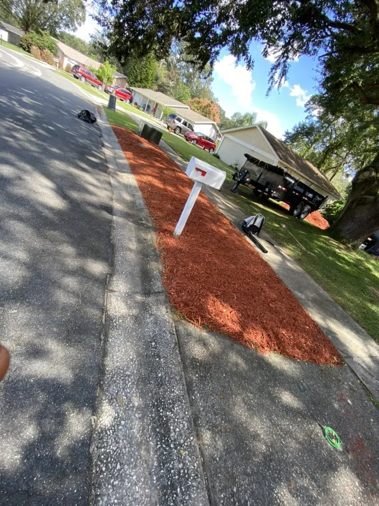 Trusted residential landscaping in Tampa, FL by Ultimate Painting, Maintenance, Landscaping