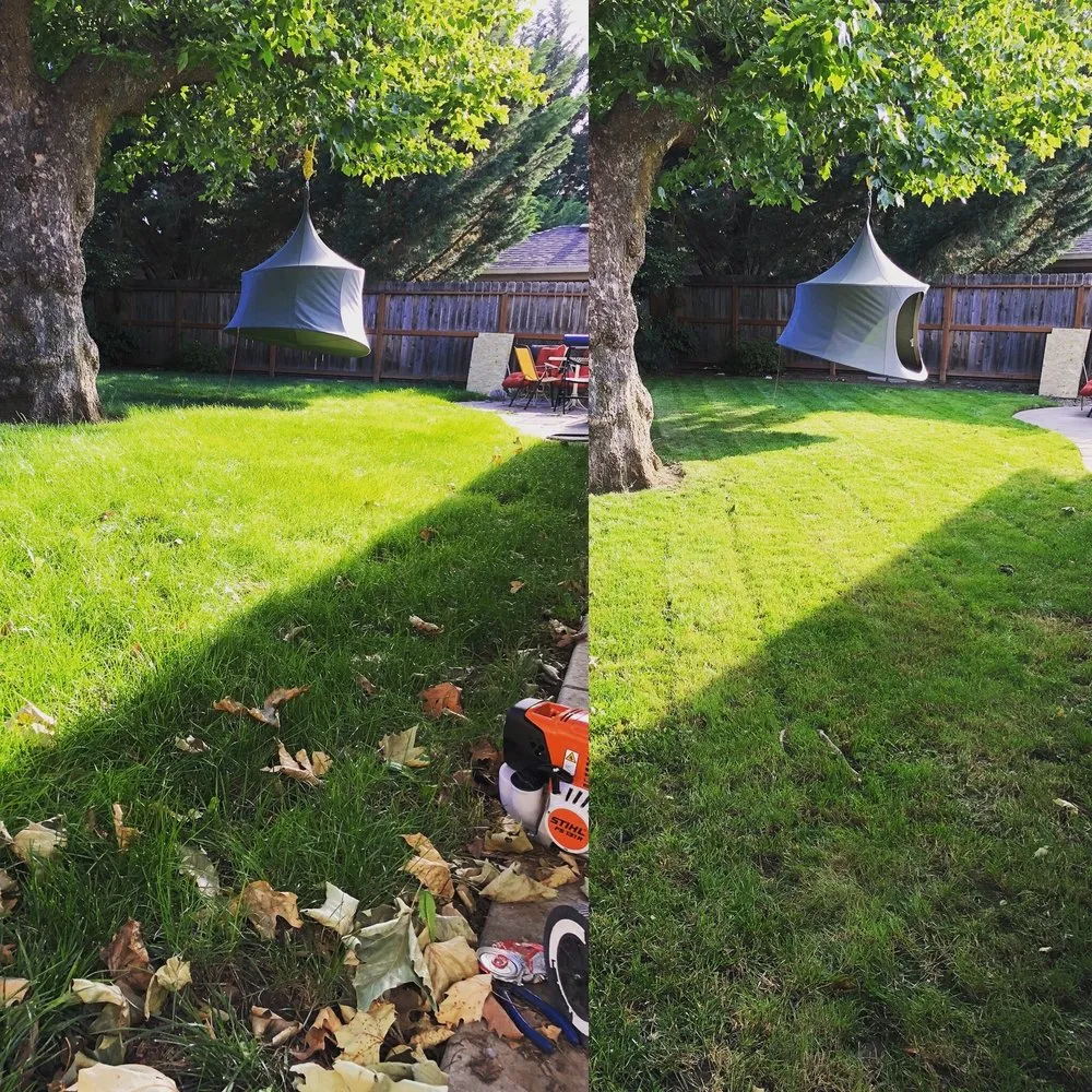 Trusted landscaping services experts serving Medford, OR - Ultimate Property maintenance