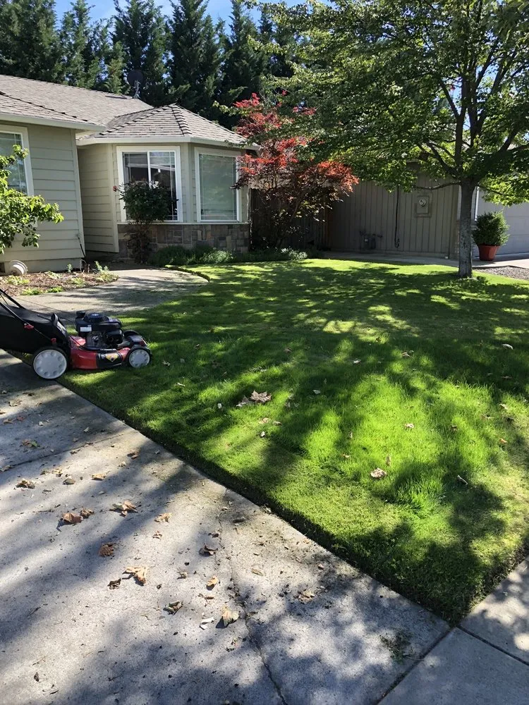 Reliable residential landscaping experts serving Medford, OR - Ultimate Property maintenance