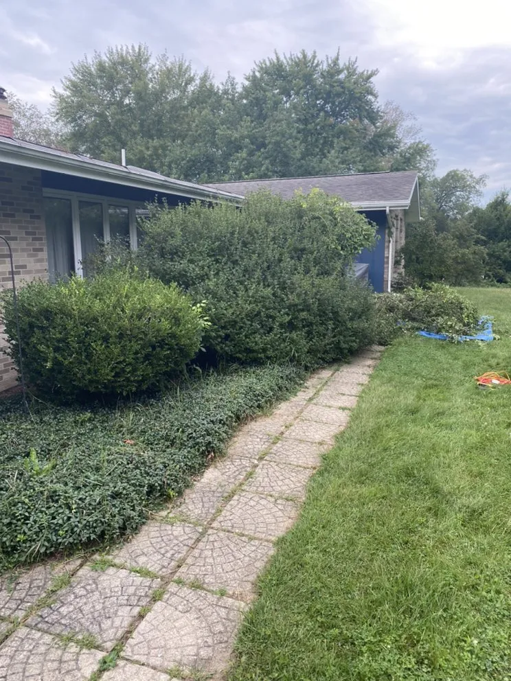 Expert lawn mowing service experts serving Jackson, MI - Ultimate Property Solutions