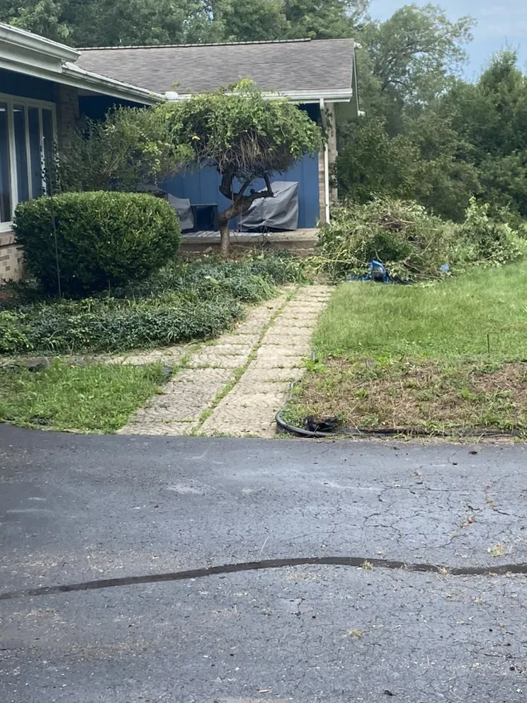 Professional outdoor landscaping in Jackson, MI - Ultimate Property Solutions