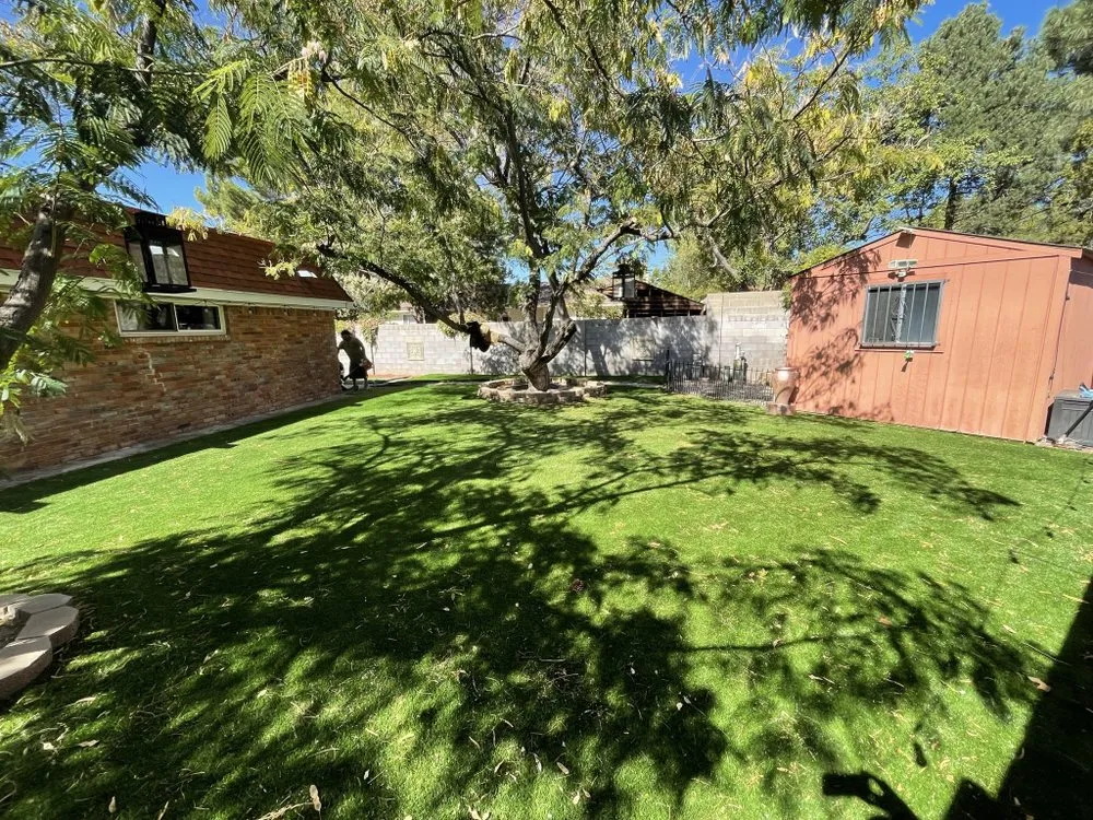 Affordable lawn care service in Rio Rancho, NM by Ultimate Syn-Turf