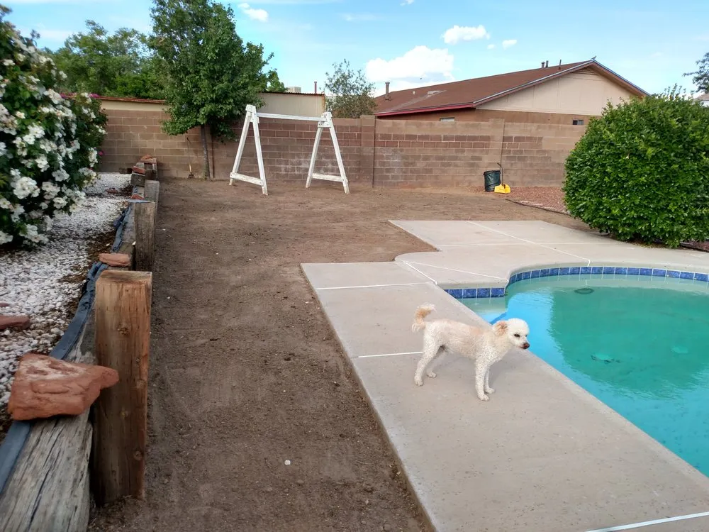 Professional outdoor landscaping with custom design across Rio Rancho, NM - Ultimate Syn-Turf