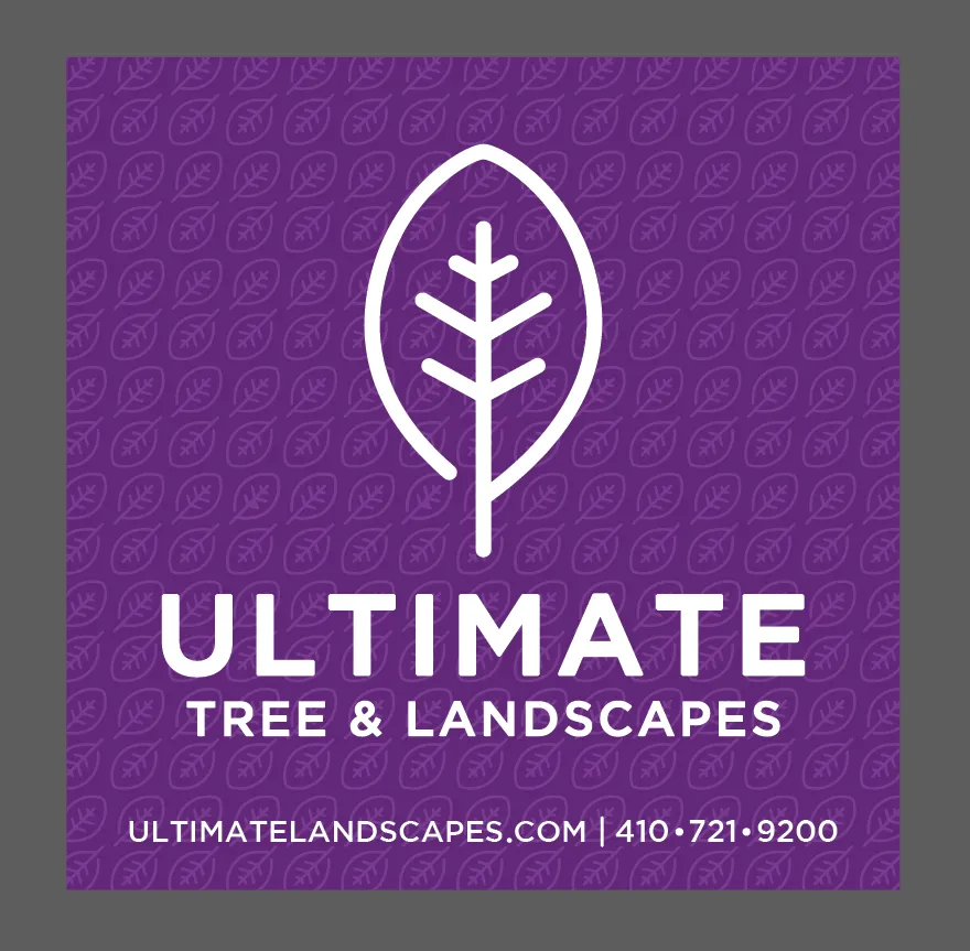 Custom yard maintenance experts serving Gambrills, MD - Ultimate Tree & Landscapes