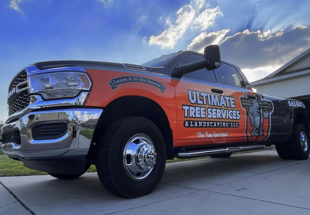 Trusted landscape installation near you in Mulberry, FL by Ultimate Tree and Landscaping Services