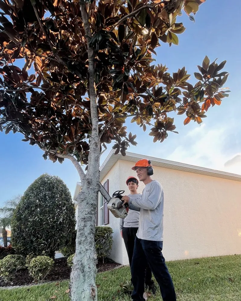 Expert residential landscaping for residential properties across Mulberry, FL - Ultimate Tree and Landscaping Services