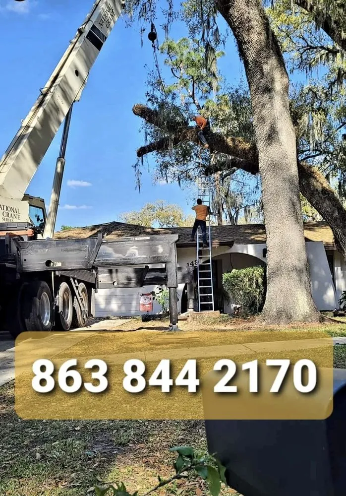 Expert landscape design near you across Mulberry, FL - Ultimate Tree and Landscaping Services