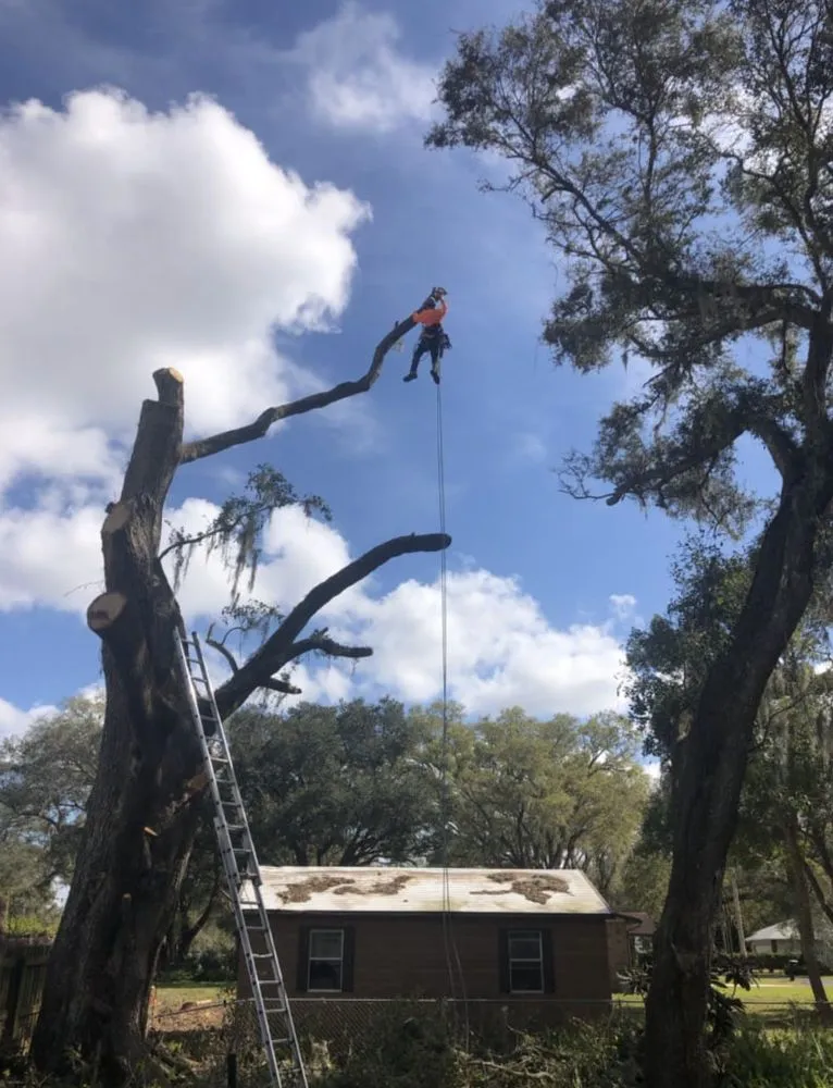 Trusted landscaping services experts serving Mulberry, FL - Ultimate Tree and Landscaping Services