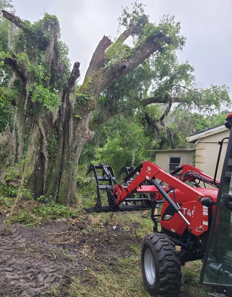 Affordable landscaping services in Mulberry, FL by Ultimate Tree and Landscaping Services