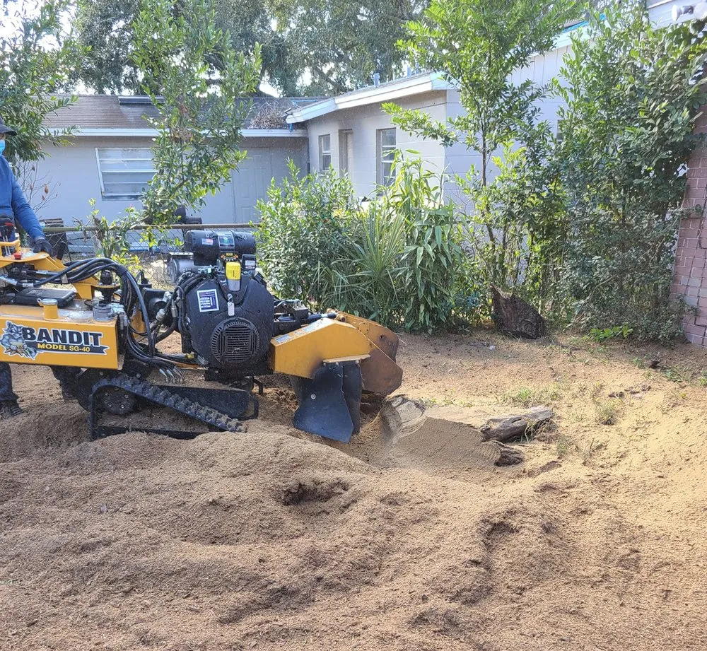 Affordable yard maintenance experts serving Mulberry, FL - Ultimate Tree and Landscaping Services