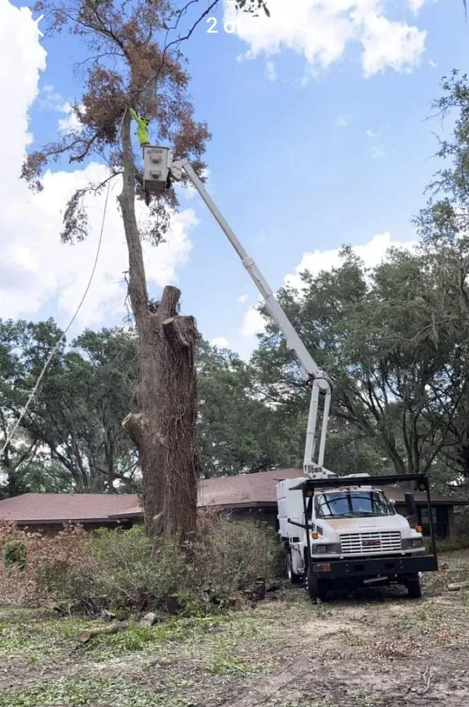 Local lawn mowing service with custom design in Mulberry, FL by Ultimate Tree and Landscaping Services