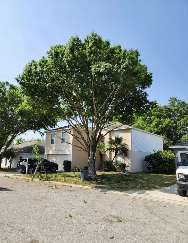 Reliable landscape design in Mulberry, FL - Ultimate Tree and Landscaping Services