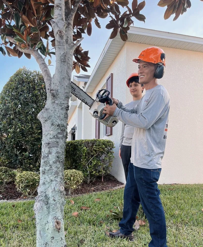 Expert outdoor landscaping for year-round maintenance across Mulberry, FL - Ultimate Tree and Landscaping Services